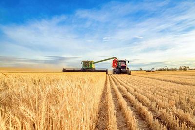 Wheat Posting Monday Morning Strength